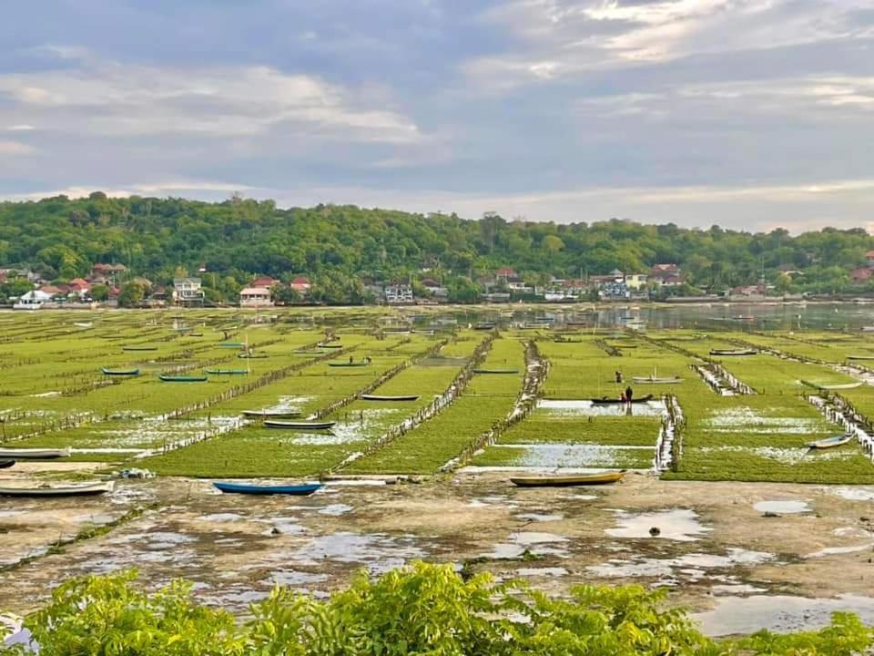 Lebaoh Nusa Cottage Нуса-Лембонган Екстер'єр фото